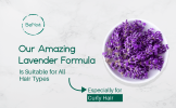 Shampoo Bar & Conditioner Bar Bundle